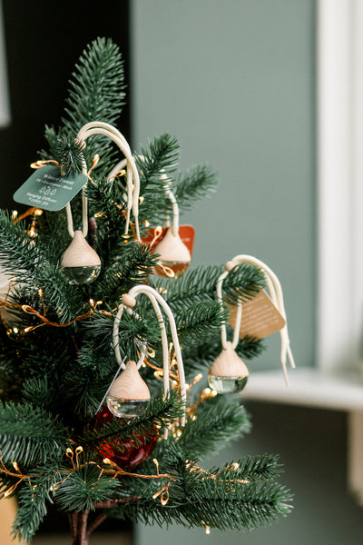 Holiday Hanging Diffusers
