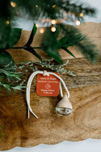 Holiday Hanging Diffusers