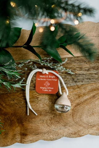 Holiday Hanging Diffusers