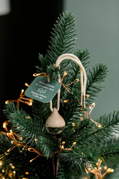 Holiday Hanging Diffusers