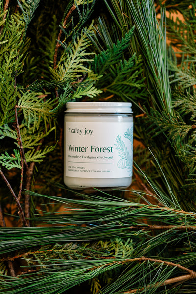 Winter Forest