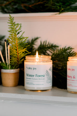 Winter Forest