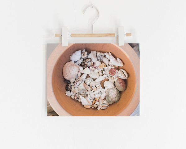 Seaside Treasures