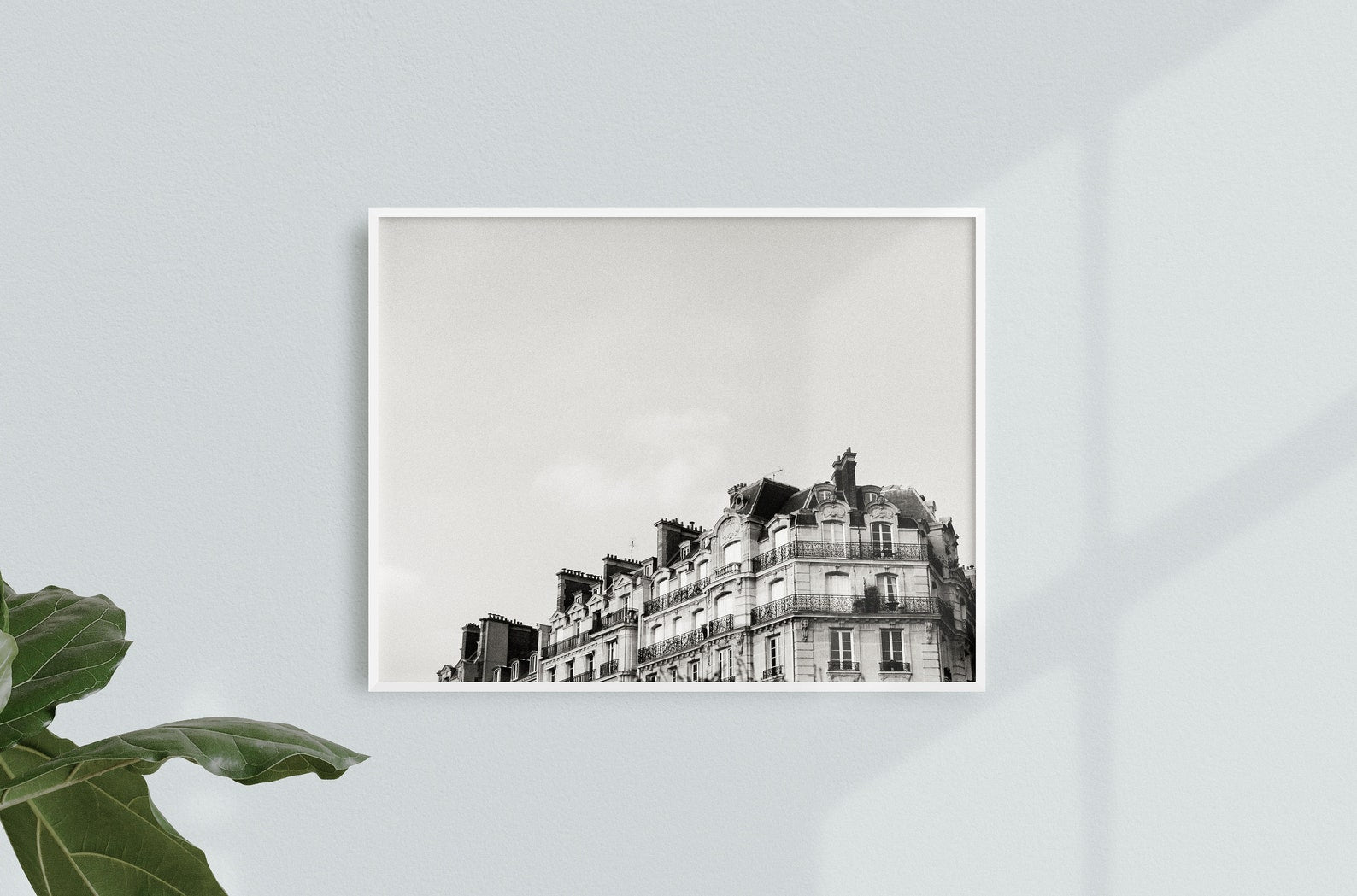 Parisian Rooftop
