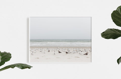 Beach Meetup